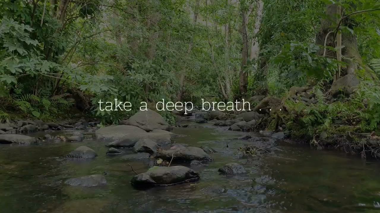 Blackscreen - ASMR - Soothing cool river in the forest