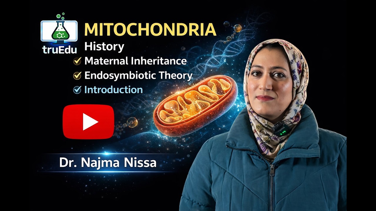 Mitochondria Explained | Endosymbiotic Theory & Maternal Inheritance | 11Th | NEET Biology