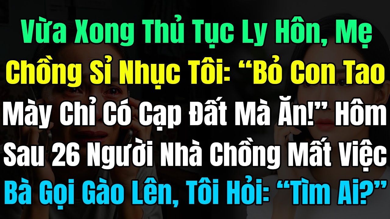 Vừa Xong Thủ Tục Ly Hôn, Mẹ Chồng Sỉ Nhục Tôi: 