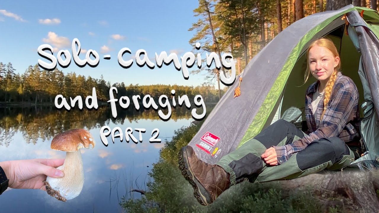 SOLO CAMPING and FORAGING: Girl alone in the woods for 3 days (Part 2)
