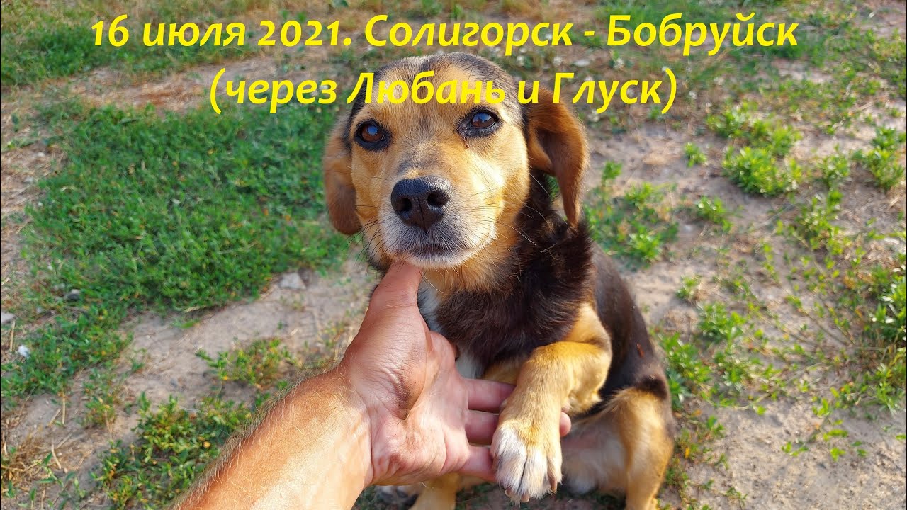 16 июля 2021. Солигорск - Бобруйск (через Любань и Глуск)