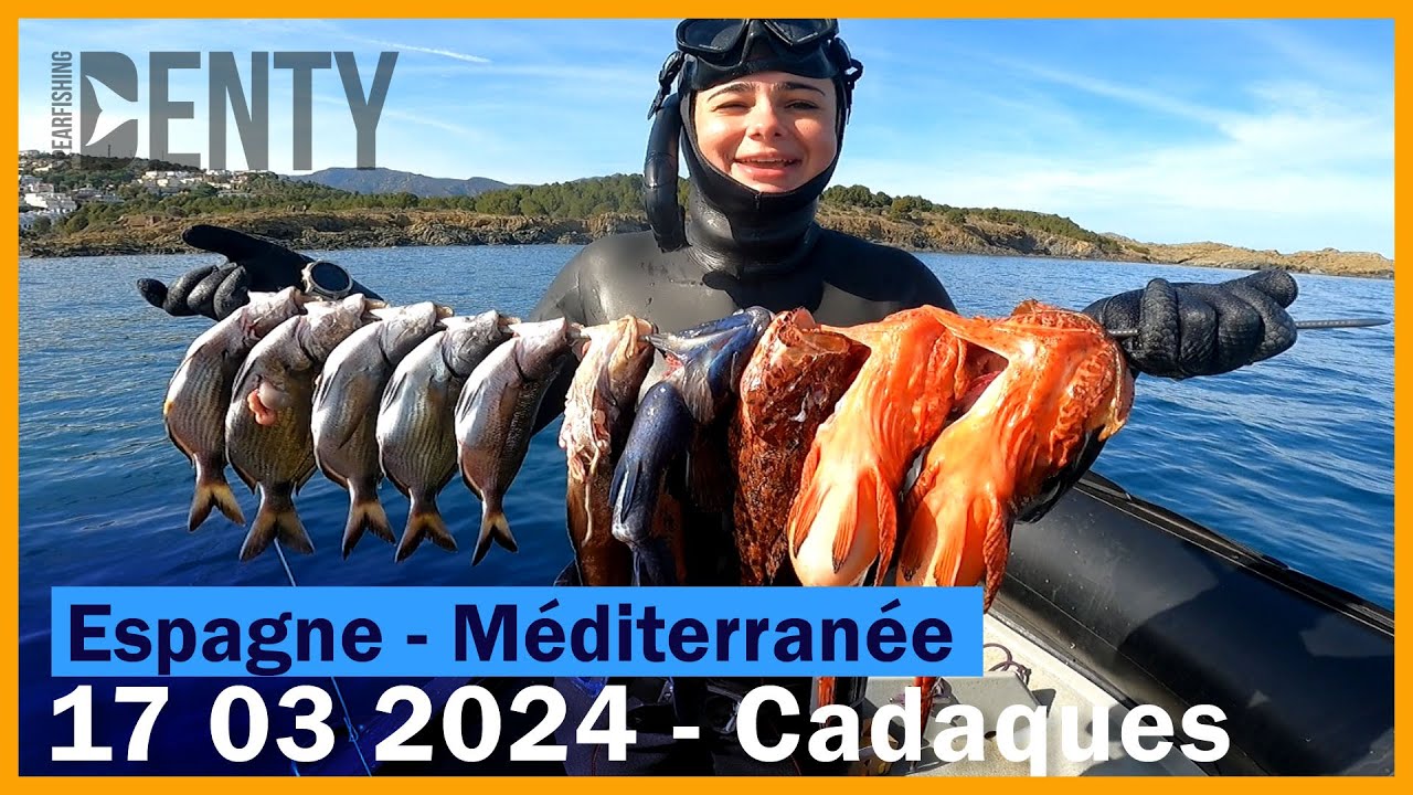 Influence du macro plancton sur le poisson en Chasse sous-marine
