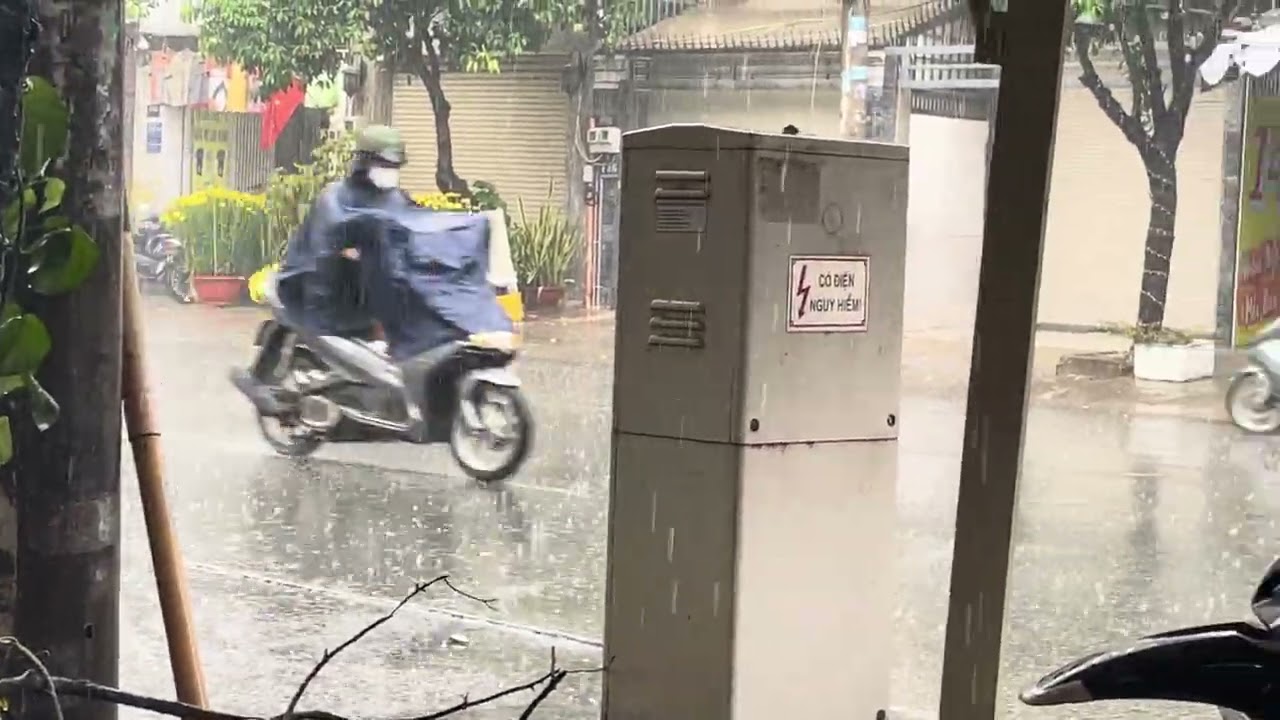 Sài Gòn Ngày Nay tết là phải mưa 