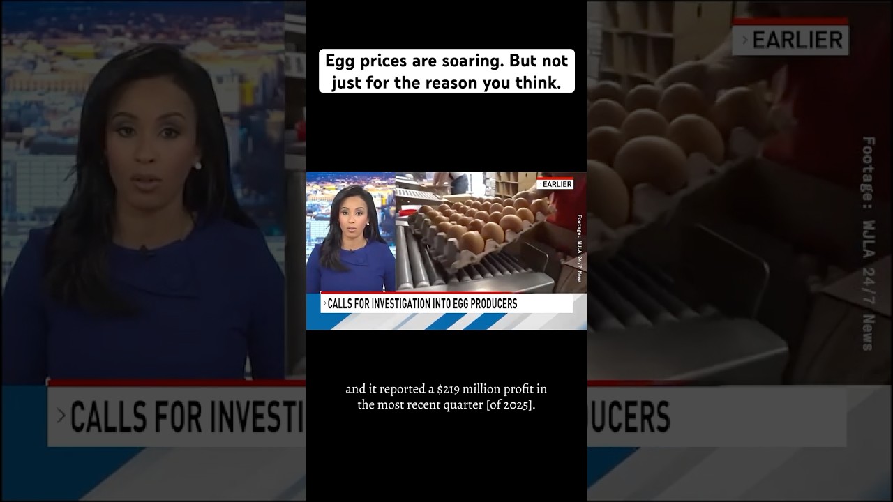 The Egg Industry is Profiting Off of Bird Flu. You&rsquo;re Paying the Price.