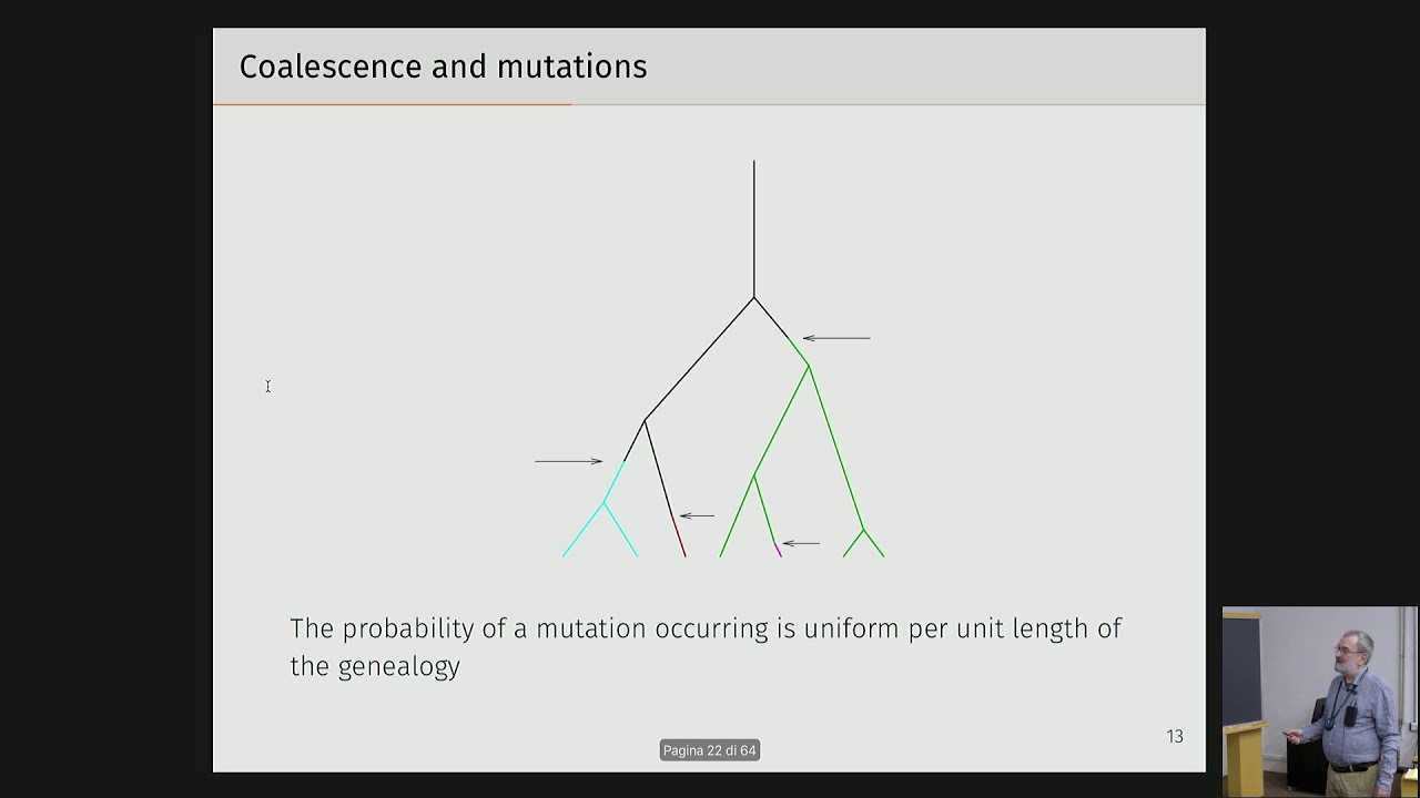 Population genetics and evolution (4 of 4)