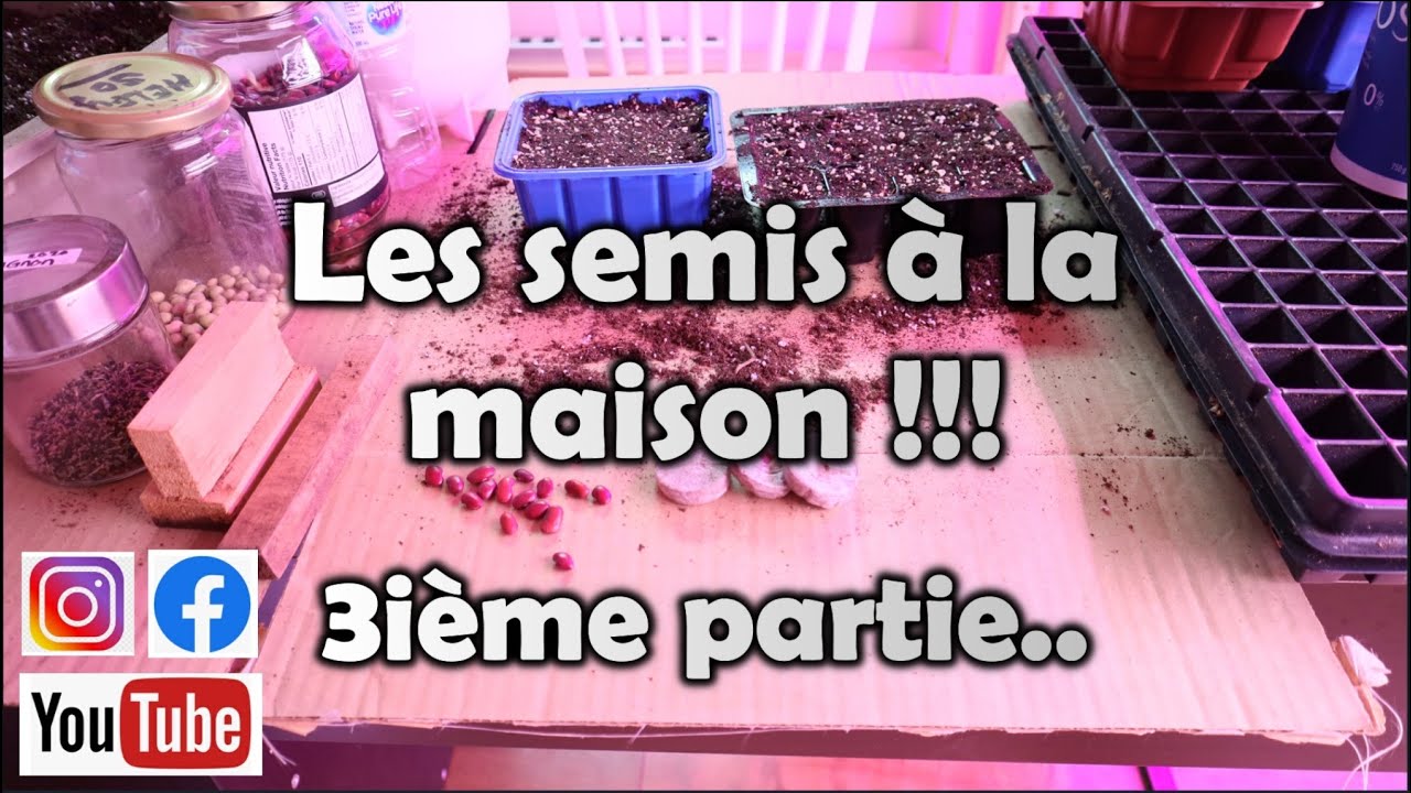 Préparation du terreau, méthodes de semis, arrosage, température et temps d’exposition |3ième partie