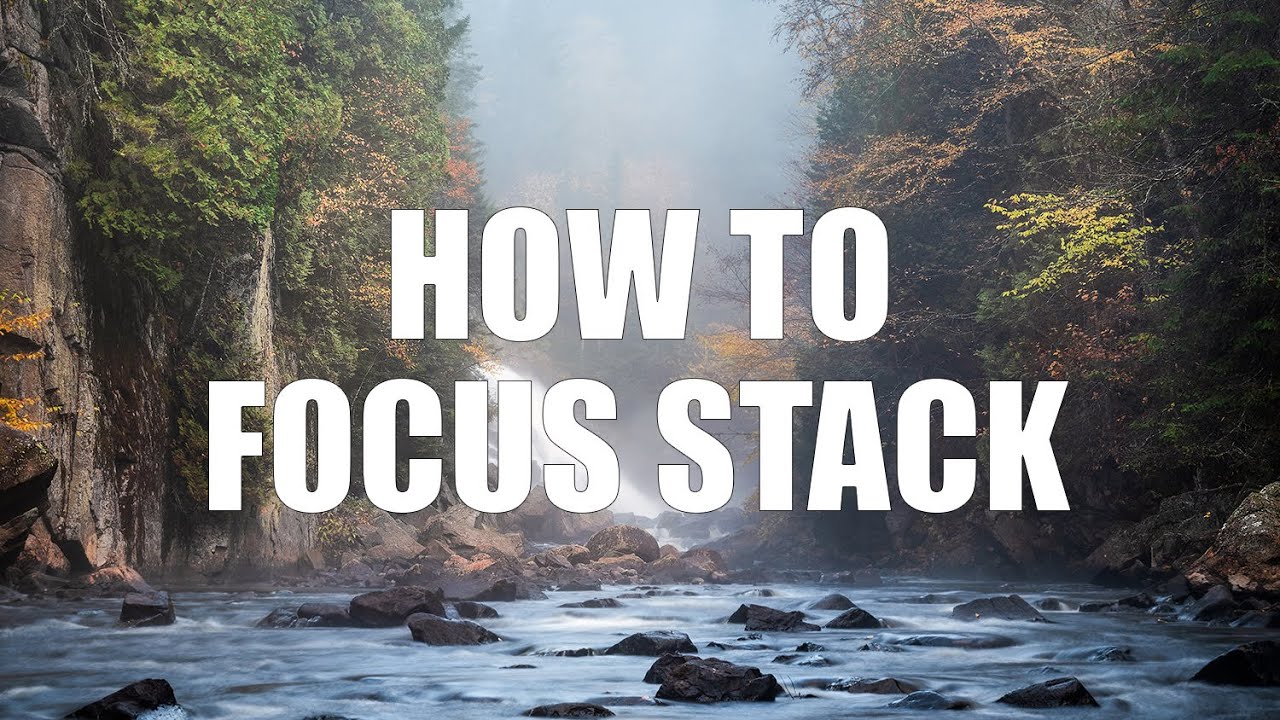How to FOCUS STACK quickly and easily