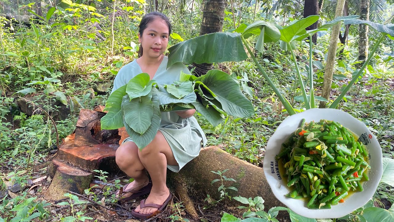 Panen keladi Tikus|| nikmat banget kalo di masak kaya gini #vilagelife 