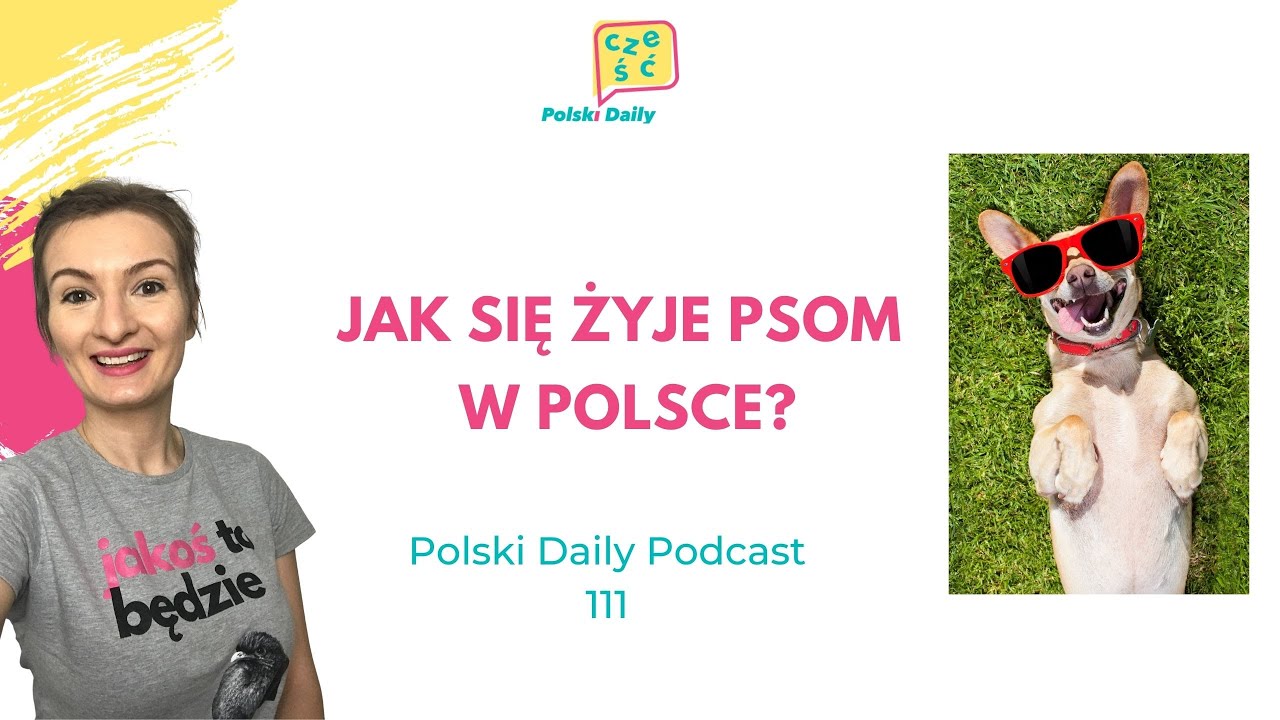 Polski Daily Podcast 111 Jak się żyje psom w Polsce? | Dogs' life in Poland  [A2+]