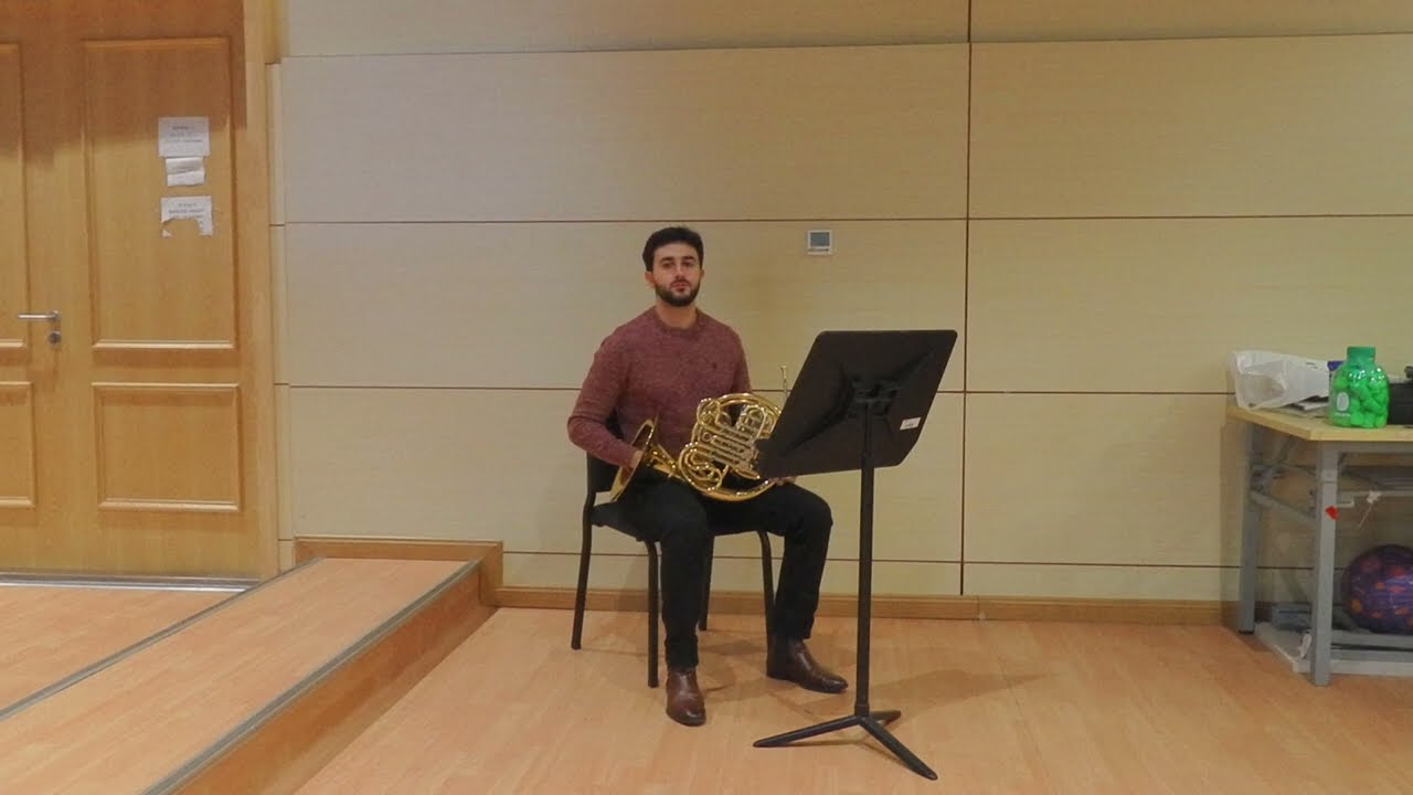Audition Third Horn Hong Kong Philharmonic Orchestra (Orchestral Excerpts)