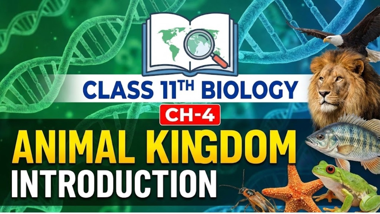 CLASS 11TH BIOLOGY | CH-4 |  ANIMAL KINGDOM | PHYLUM PORIFERA |