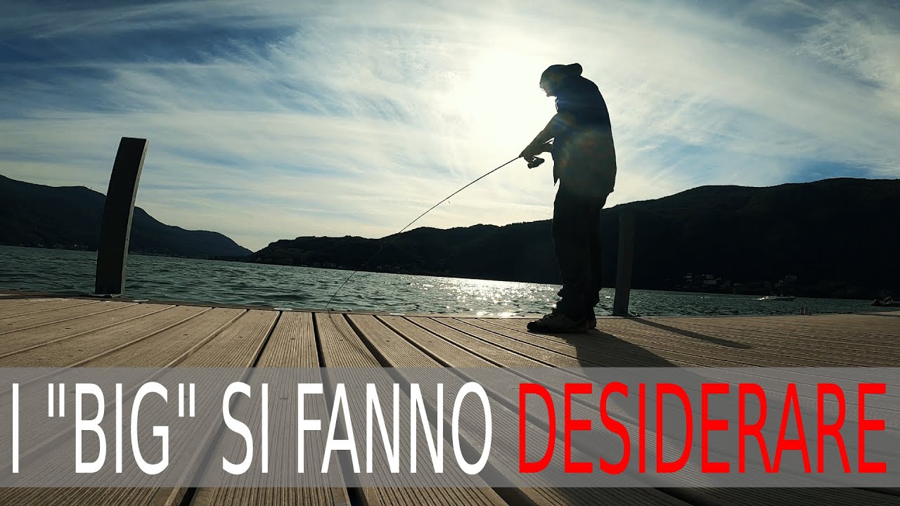 PERSICI REALI A SPINNING sul lago di Lugano