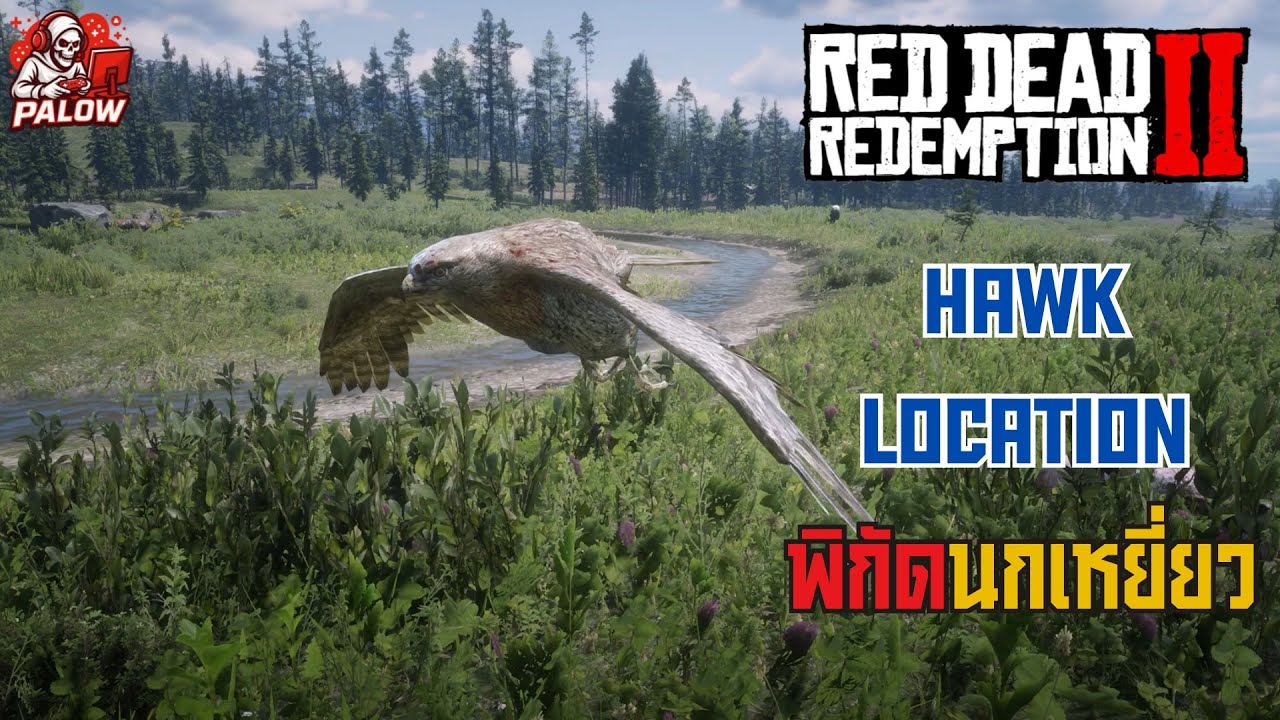 RDR2 Red-tailed Hawk Location | พิกัดเหยี่ยวหางแดง