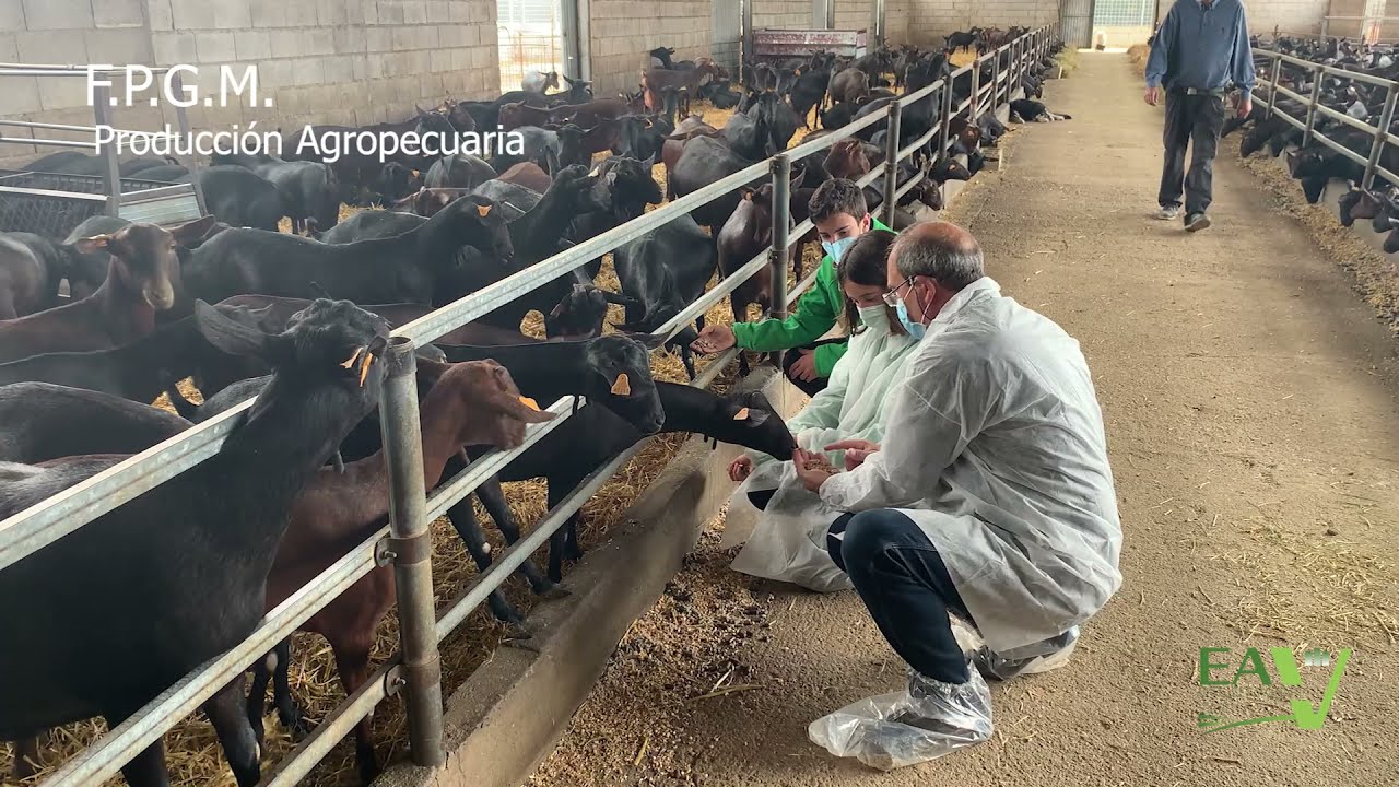 F.P.G.M. Producción Agropecuaria