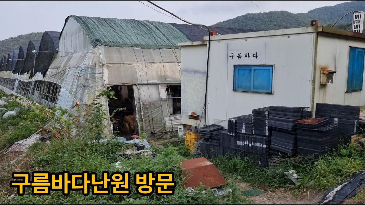 구름바다난원 방문