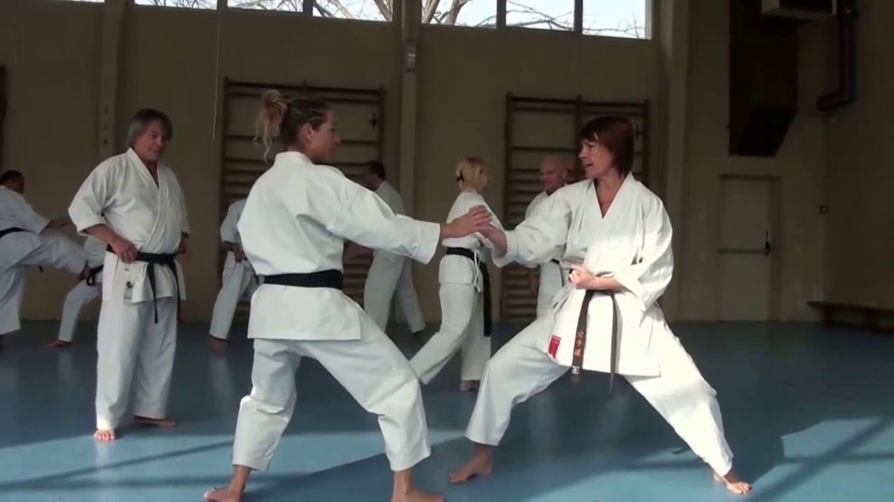 Stage Karaté kata heian sandan et bunkai