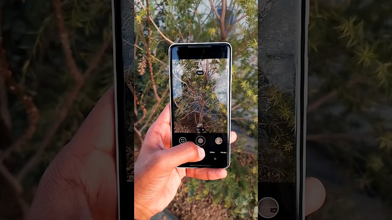 Pixel 2Xl in 2023 