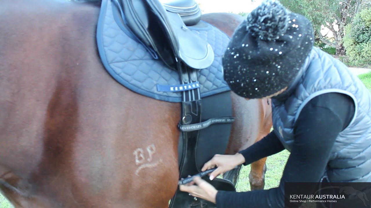 How to fit your Equine Body Bandage