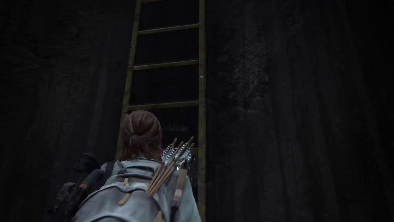 The last of us Parte 2 remaster PS5 SIN retorno