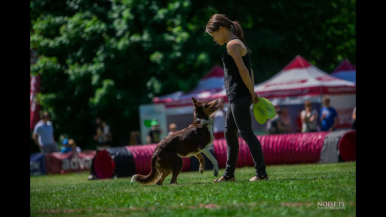 Amelia i Nuvi - Latające Psy Wrocław 2017 - Frizgility Masters