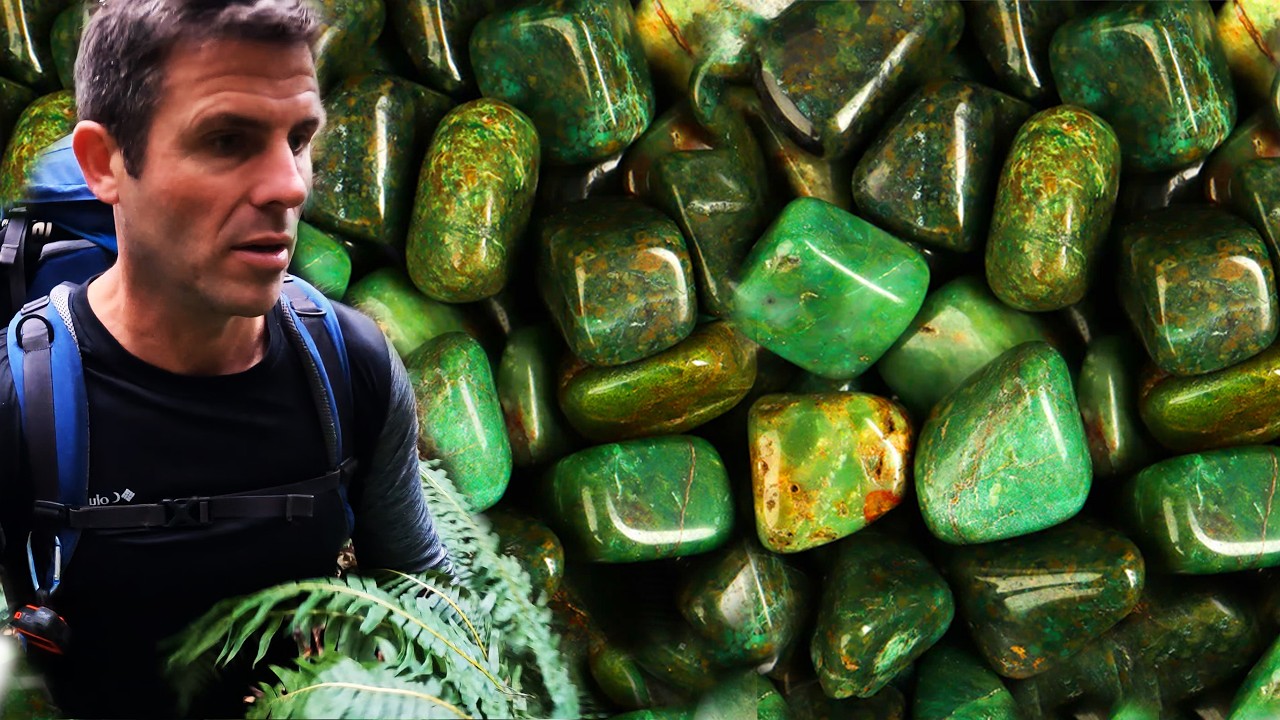 A remote JADE DEPOSIT hidden amongst the HUON PINES!!