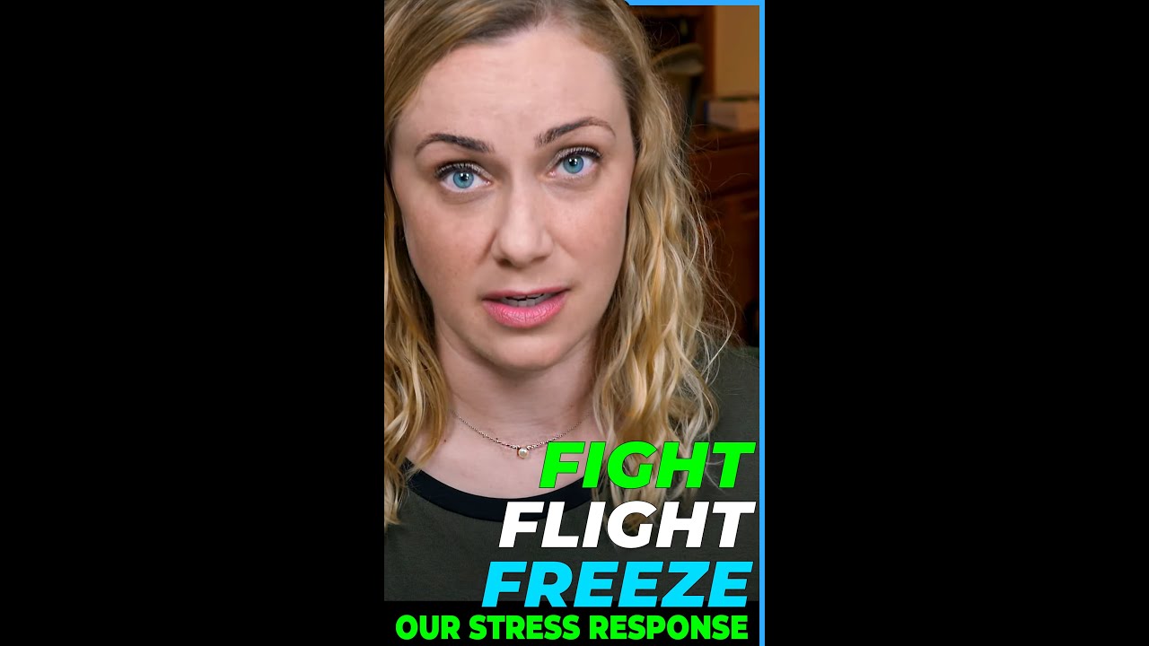 What is Our Stress Response?  FIGHT FLIGHT FREEZE!  mental health awareness with Kati Morton