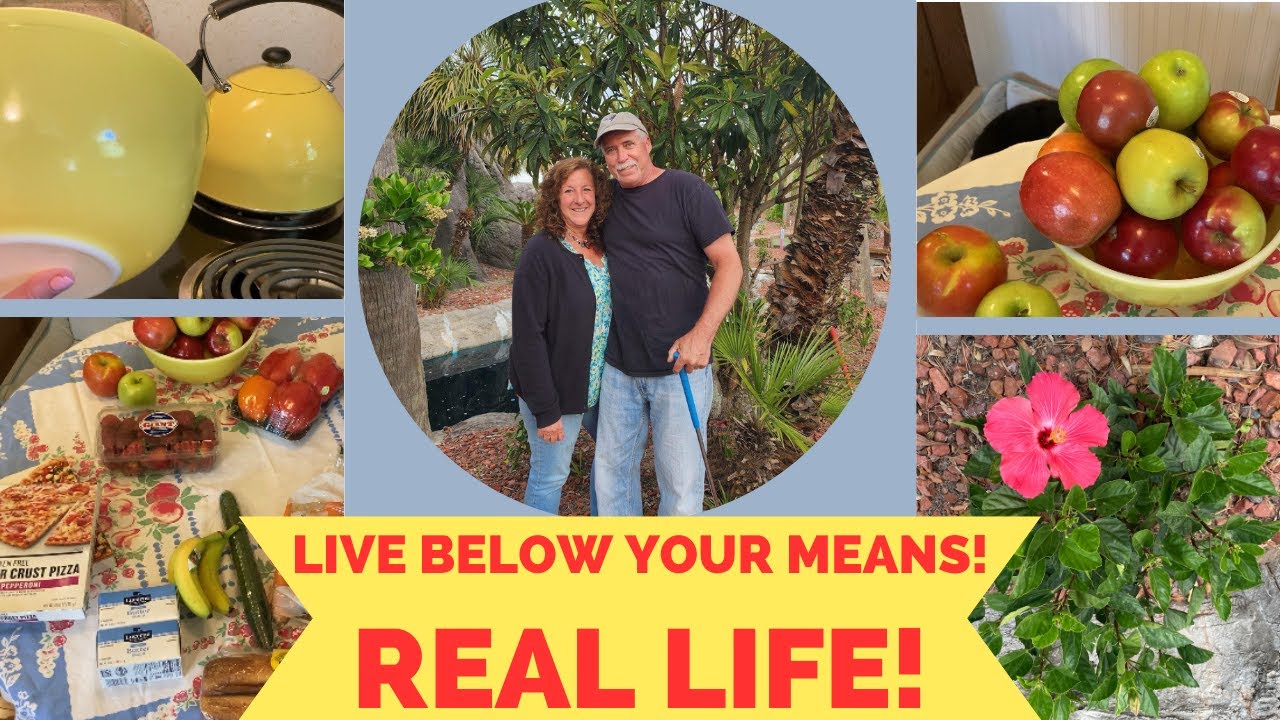 HOW TO LIVE BELOW YOUR MEANS! REAL LIFE! FRUGAL LIVING! SC LITTLE HOUSE UPDATE!