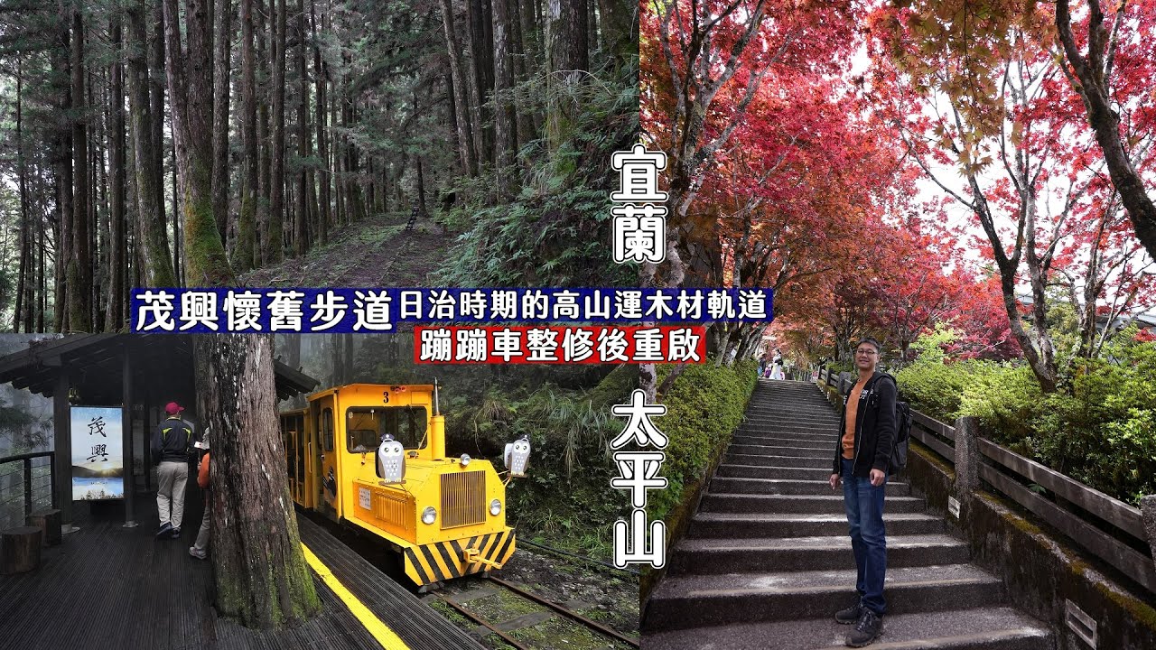 太平山蹦蹦車重新啟用啦！帶你走入茂興懷舊步道，探索日治時期運送木材的鐵道遺跡