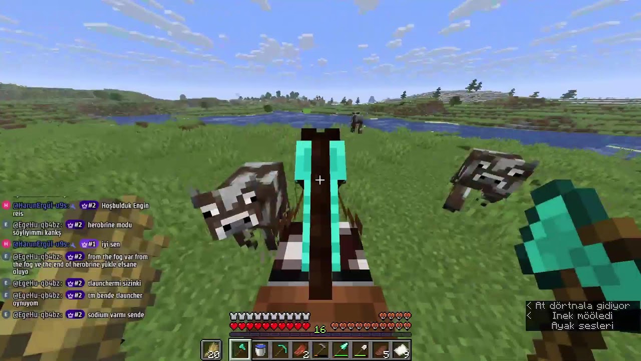 Minecraft Survival 6! Reform
