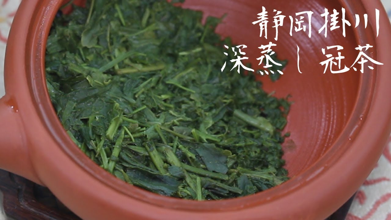 녹차 | 시즈오카 카케가와 후카무시 카부세차 | 静岡掛川深蒸し冠茶 [차록#79] ¶자막
