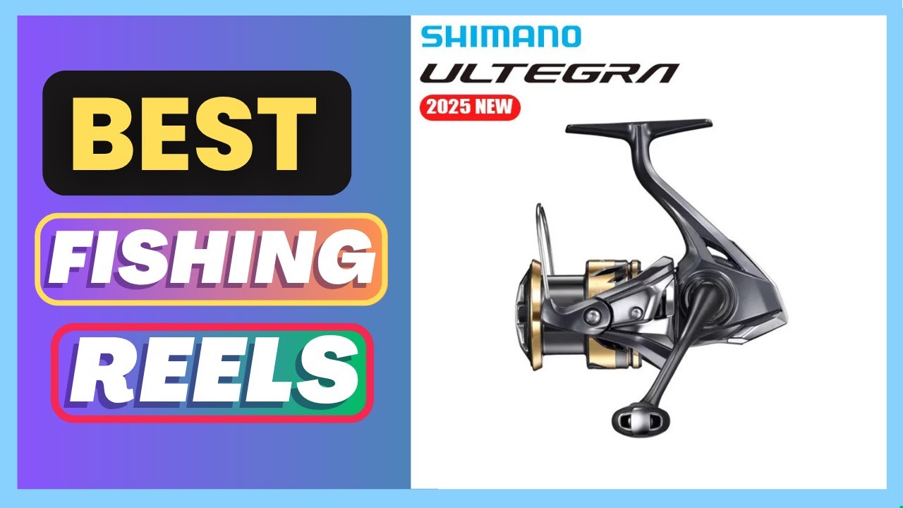 Best SHIMANO 2025 ULTEGRA CORESOLID Serise Spinning Reel