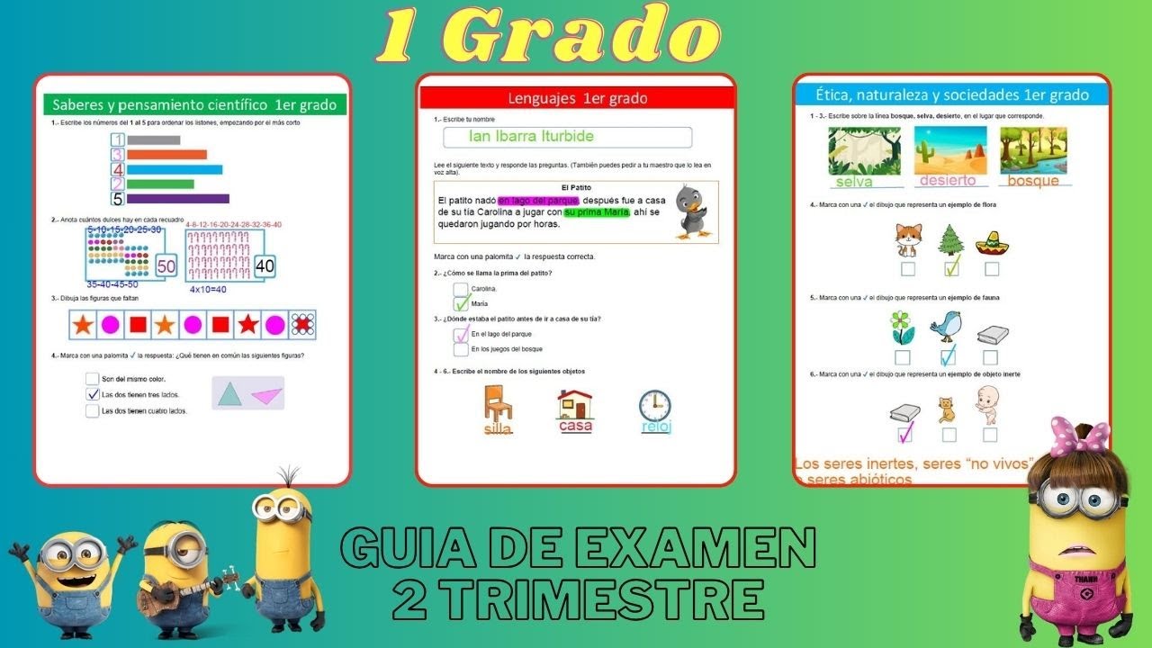 Guia de examen 2 Trimestre primer grado