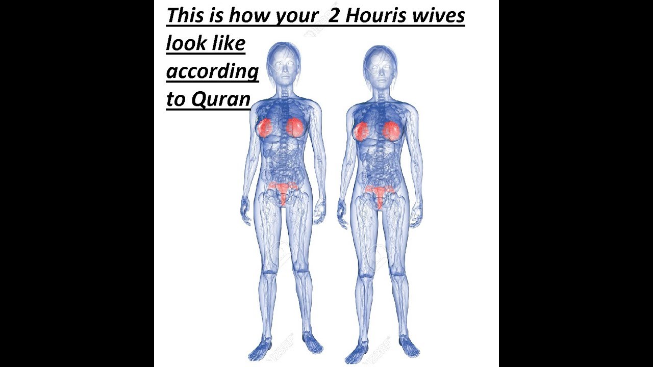 description of 2 Houris wives in Jennah From quran