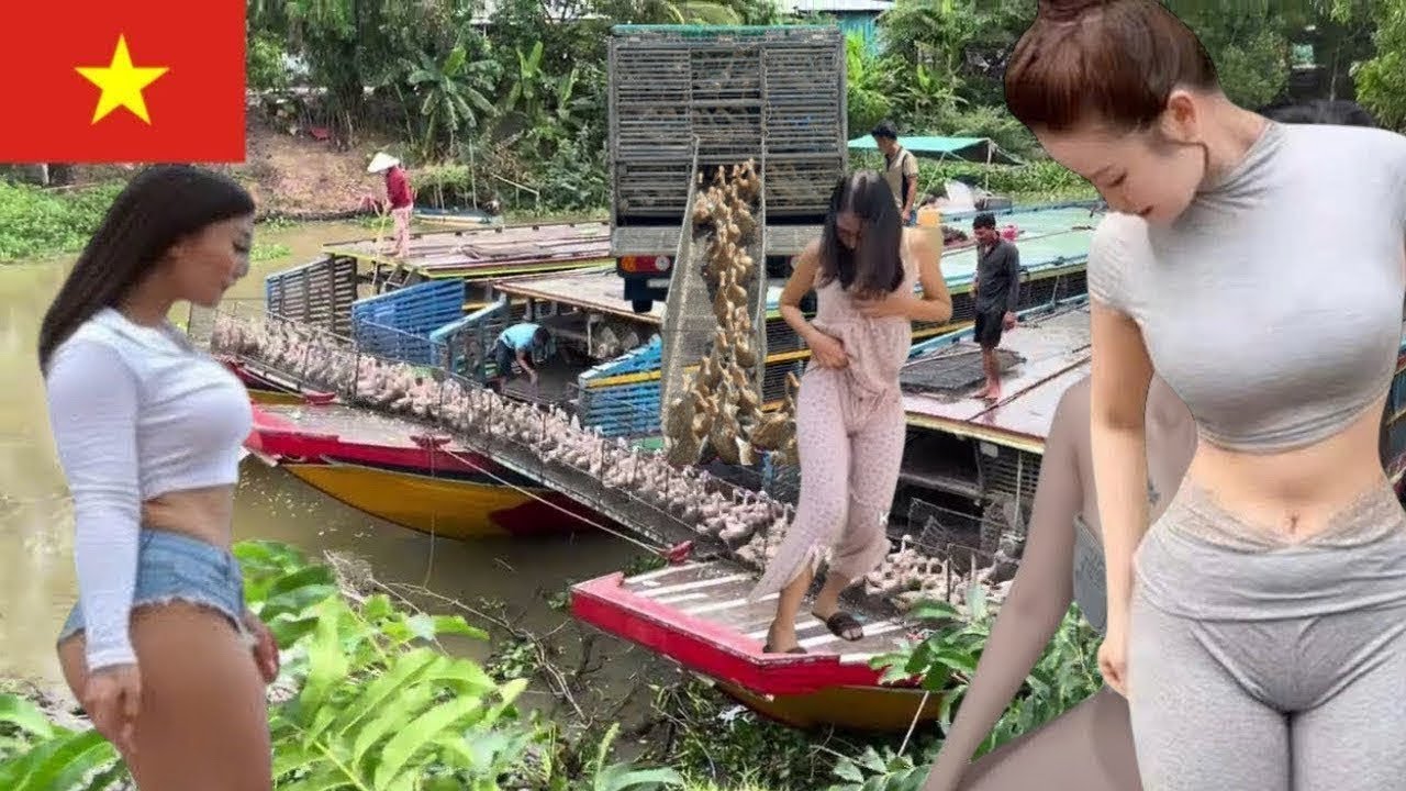 Full Video: The Unbelievable Transfer of Millions of Ducks from Boats to Trucks in Vietnam