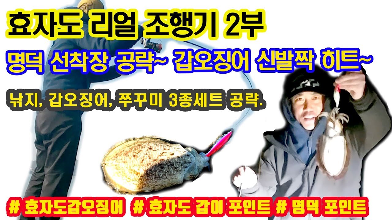 효자도 갑오징어 리얼 조행기 2부~ 명덕 포인트, 낚지, 갑오징어, 쭈꾸미 3종세트~먹방~
