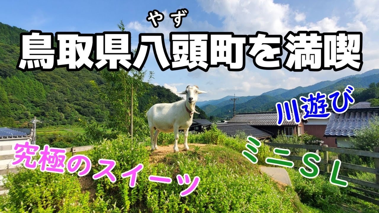 八頭町で半日遊び尽くす/隼Lab/大江ノ郷自然牧場/やずミニSL博物館/大江河川公園/赤倉神社/大江神社/鳥取県岩美町の1日1組限定の宿GuestHouseTEN
