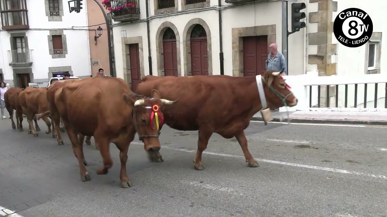 La Pasaa de Ampuero 22 - 6 - 2024
