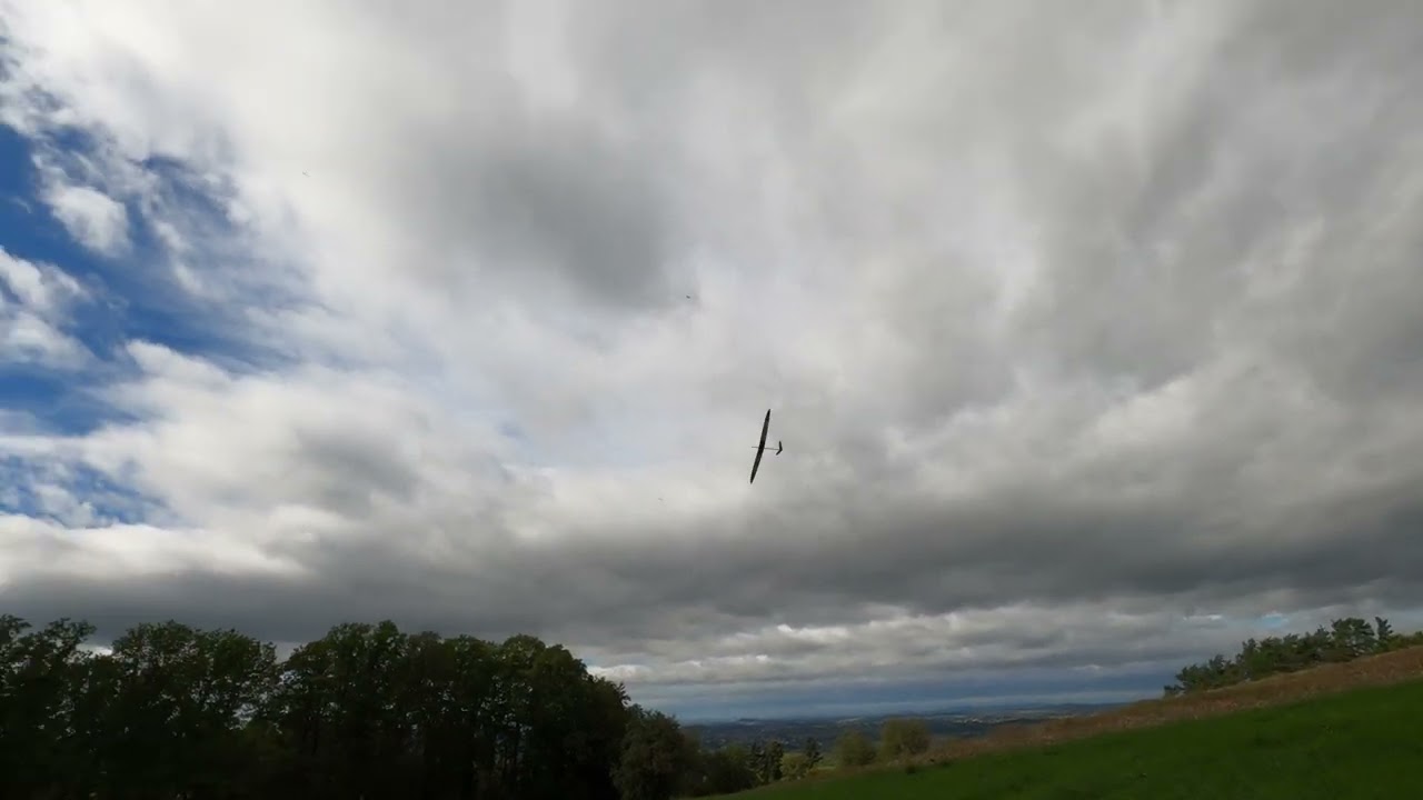 Leefliegen VJX 029