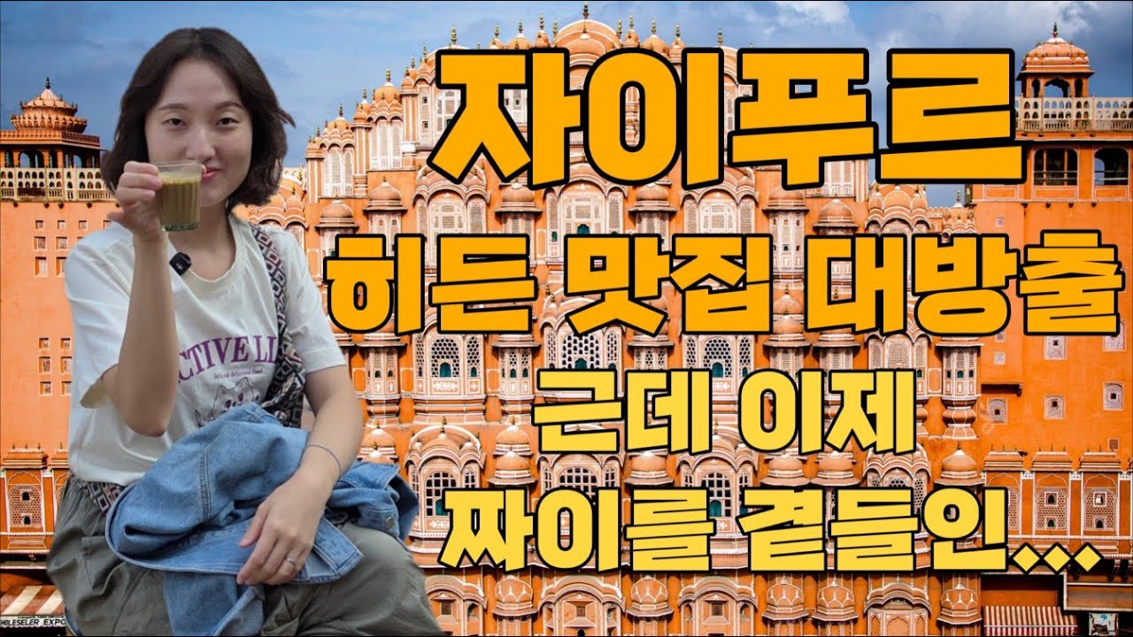 자이푸르 먹방 파티🍔Jaipur Street Food Party😋