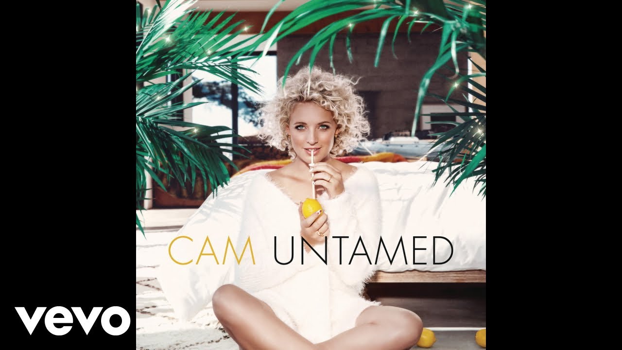 Cam - Burning House (Audio)