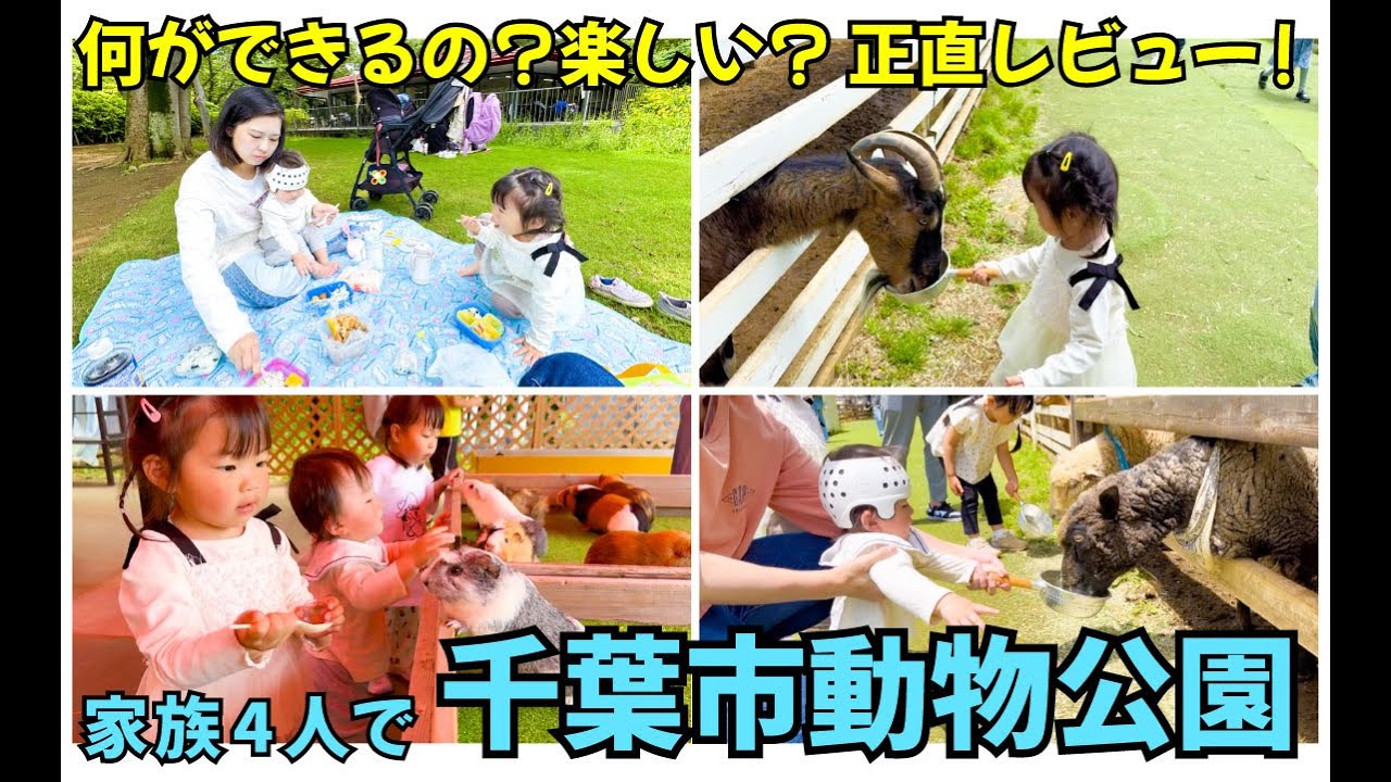 【家族で動物園】千葉市動物公園で1日満喫！子どもも大喜びのふれあい体験＆乗馬チャレンジ 🐴🐒
