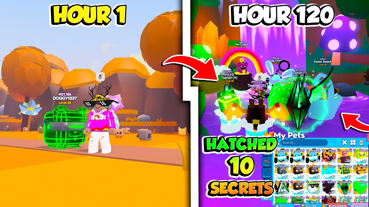 I Spent 120 Hours GRINDING in Pet Catchers And THIS HAPPENED!!!😱