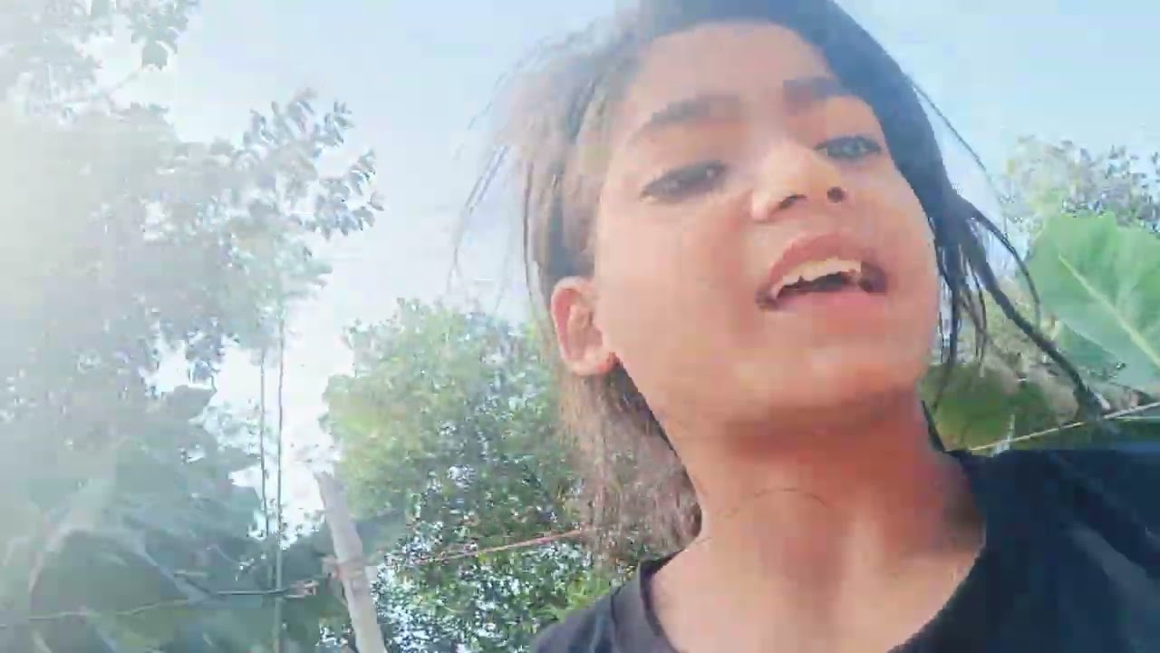 सुबह सुबह हमने अपने मिनी गार्डन में हार्वेस्टिंग की काफी सारी