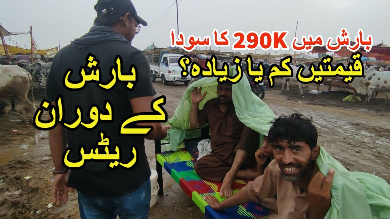Baarish K Doran Rates | Mandi Sasti Ya Mehangi? | Sohrab Goth Mandi 2022