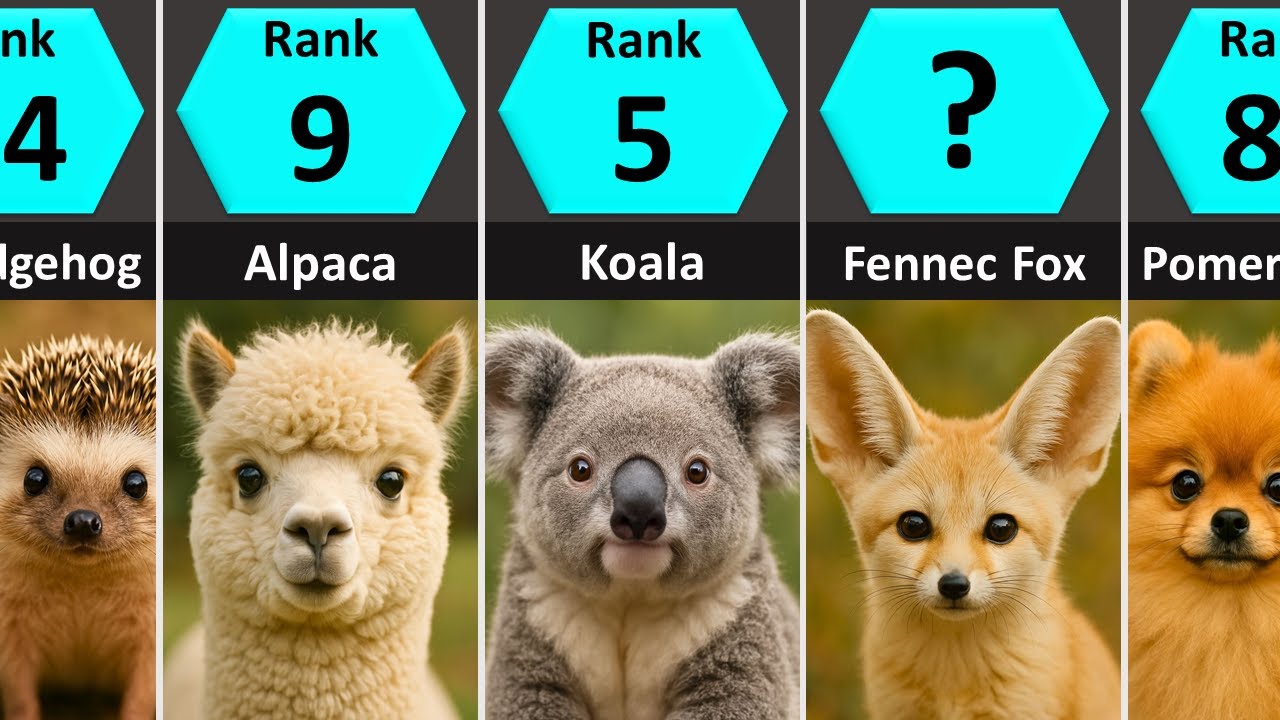 Cutest Animals in the World (Ranked)