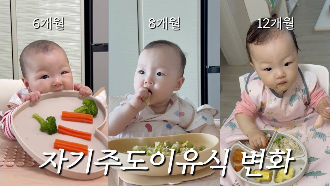 6개월부터 자기주도이유식 시작한 결과!! 6개월에서 13개월까지의 변화 기록👶🏻