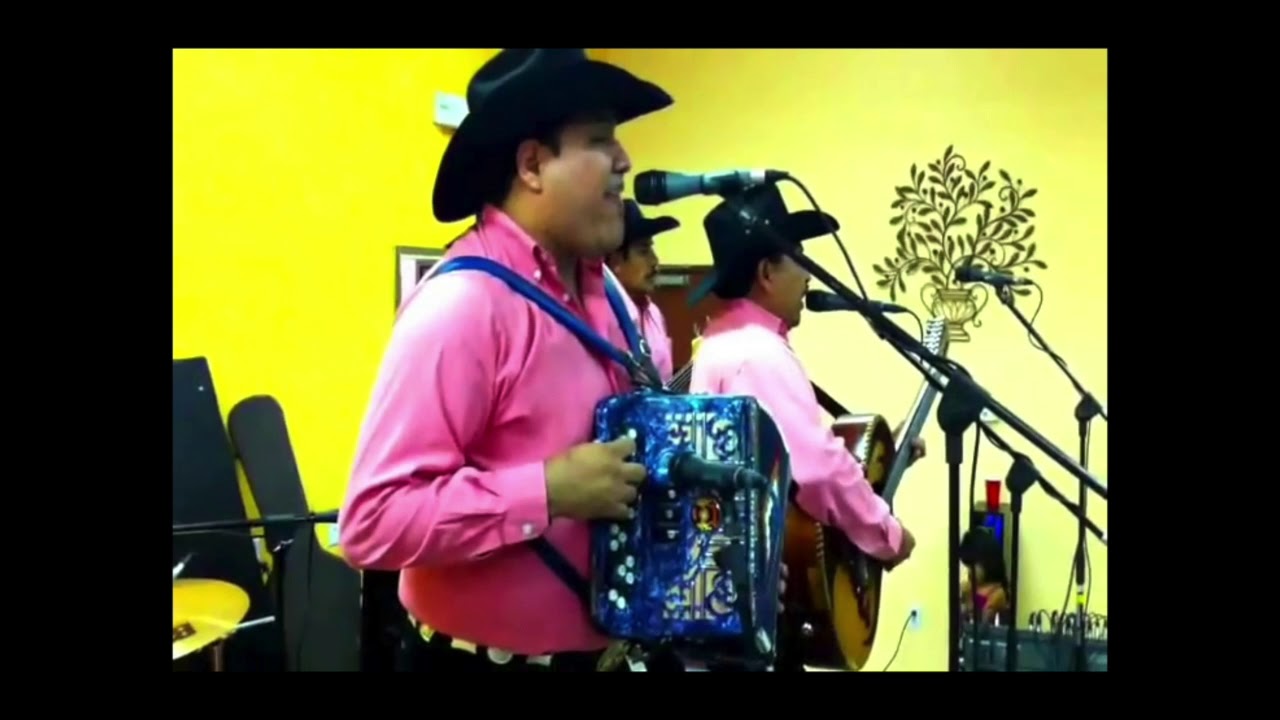 Conjunto Alegria (En Vivo) Prieta Consentida Y Varias Rolas Mas