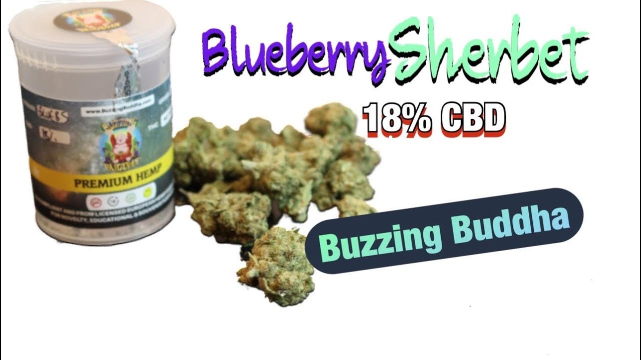 Blueberry Sherbet 18% CBD | Buzzing Buddha