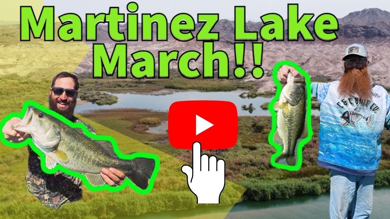 Bass Fishing Arizona | How to Fish Martinez Lake in March | #arizona #fishing #yumaaz
