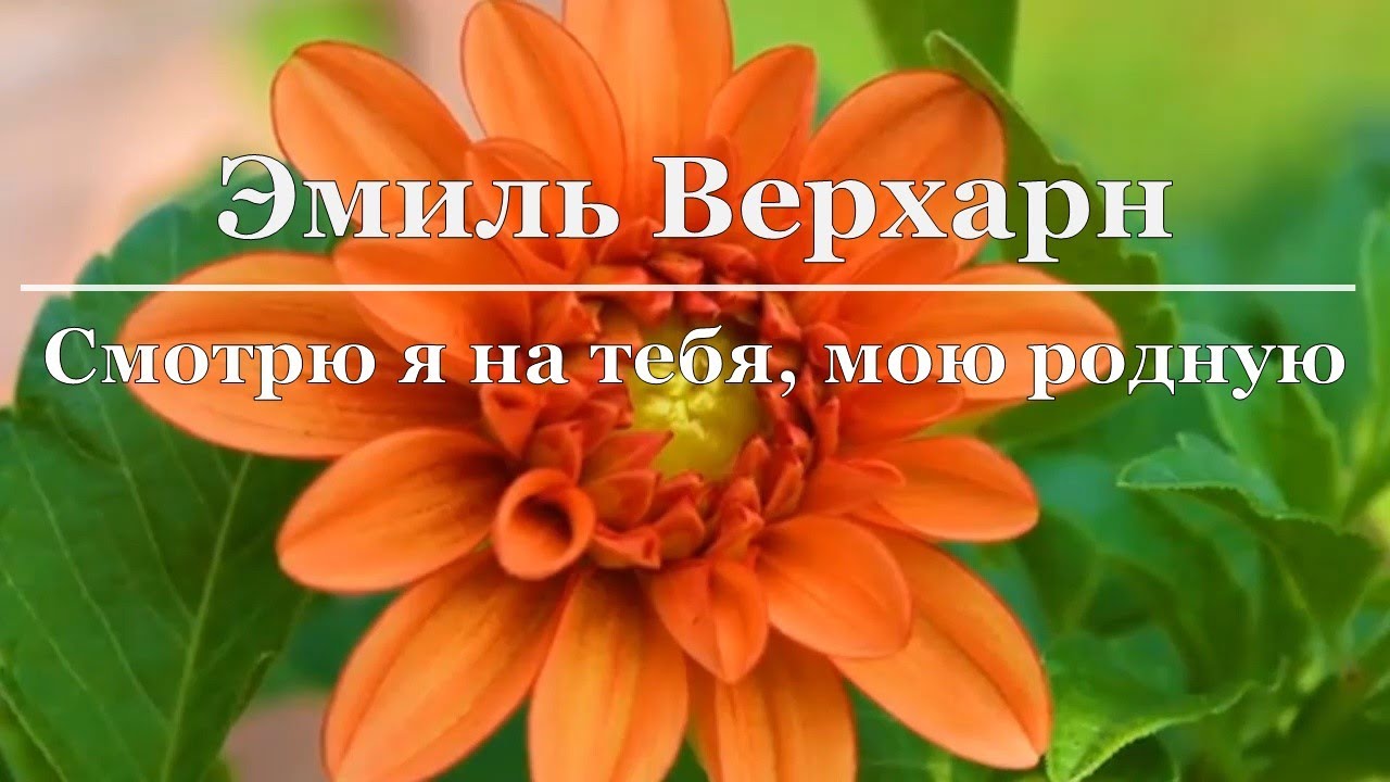 Эмиль Верхарн - Смотрю я на тебя, мою родную